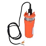zhuangyif 1/2-Zoll-Mini DC12V 8A Electric Submersible Pumpe for Wasser-6.5L/min Alternative Energy solarbetriebene Absaugpumpe Diesel Pumping