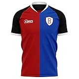 Airosportswear 2020-2021 Basel Home Concept Football Soccer T-Shirt Trik