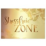 Logbuch-Verlag Schild STRESSFREIE Zone 31 x 21 cm Gold Silber mit Ginkgo - Wandbild Türschild Deko Sauna Spa Wellnessbereich G