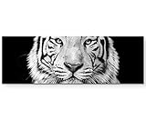 Paul Sinus Art Leinwandbilder | Bilder Leinwand 120x40cm Portrait eines weißen Bengalischen Tiger schwarzweiß