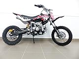 RV-Parts KXD Dirt Bike 125ccm 14/12 Zoll Cross Vollcross Pocketbike Pit Enduro 125cc 12PS