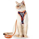 Supet Katzengeschirr und Leine Set Flucht sicheres Kätzchengeschirr Verstellbares Katzen westengeschirr mit Reflexstreifen Universelle Katzenleine und Geschirr für Katzen Welp