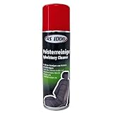 RS1000 57345 Polsterreiniger 300