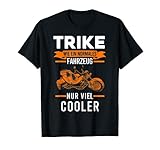 Trike Triker Motorrad Dreirad T-S