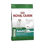 ROYAL CANIN Hundefutter Mini Adult 8+, 8 kg, 1er Pack (1 x 8 kg)