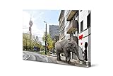 Wandbilder Düsseldorf | Altstadt Rheinturm Volksgarten | Acrylglas Leinwand oder Alu-Dibond | Tiere Banane Wasserfall | lustig modern surreal (Elefanten Graffiti, Leinwandbild 90 x 60 cm)