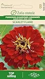 Seklos LT | ZINNIEN SCARLET FLAME | Blumenssamen | Schnell Wachsende Zierpflanzen | Einjährige Pflanze | Pflanze samen | Für Blumenbeet | 1 Pack