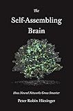 The Self-Assembling Brain - How Neural Networks Grow S