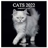 Draeger Paris Großer Wandkalender Katzen schwarz weiß 2022
