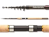 Daiwa Angelrute Allroundrute Teleskoprute - Procaster Tele 3,00m 10-30g 7 T