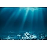 ecowalls Poster Landschaft OHNE Rahmen - 50x40 cm- Wandposter - Poster ästhetisch - Wandbilder Wohnzimmer, Schlafzimmer Modern - Poster- Bilder Wohnzimmer, S