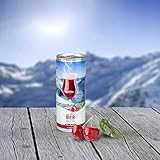 STEINBACH GLÜHBIER - MIX · HEISSE DOSE | 1 x 0,25L 1,54€ (zzgl. Pfand 0,25€/Dose) | Heisse Winterliebe | mit Kirschnektar und Wintergewürzen | 4,5%