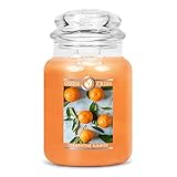 Goose Creek Candle® Clementine Sunrise 2-Docht-Kerze 680g