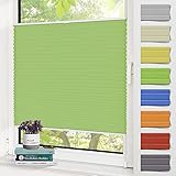 Zarnan Plissee Klemmfix Plisseerollo ohne Bohren Grün 70x120cm(BxH),Faltrollo mit Klemmträger easyfix,Jalousie Sichtschutz und Sonnenschutz Rollo für Fenster & Tü