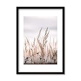 Trockenpflanzen - Halfframe (Stilles Feld | Farbe, 50 x 70 cm)