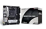 MB Biostar B550T-Silver (B550,AM4,mITX,AMD)