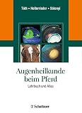 Augenheilkunde beim Pferd: Atlas und Lehrb