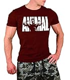 FengCheng Herren Animal T-Shirt kurzärmeliges Fitness-Top, Gym Fitness & Workout Tier-Alphabet-Fitnessstudio übergroßes T-Shirt O-Kragen-95% Baumwolle, 5% Elastan (dunkelrot,XL)