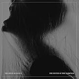 The Depth of the Darkness [Vinyl LP]