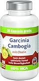 Garcinia Cambogia mit 80%HCA, 1890mg Garcinia, 120 vegane Kapseln: Premium ANGEBOT!! bestes Preis-Leistungsverhältnis, hergestellt in Deutschland, extrem hohe Bioverfügbarkeit, hoch dosiert, rein natü