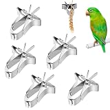 Papageien Obst Gemüse Feeder Clip Vogelfütterer Vogelkäfig Feeders Hamster Wellensittich Leckereien Clips Wellensittich Futterspender 5 Stück