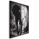 Revolio 60x80 cm Leinwandbild Wandbilder Wohnzimmer Modern Kunstdruck Design Wanddekoration Deko Bild auf Leinwand Bilder 1 Teilig - Elefant Tier schwarz-weiß g
