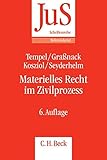 Materielles Recht im Zivilprozess: Schwerpunkte der zivilrichterlichen Praxis (JuS-Schriftenreihe/Referendariat)