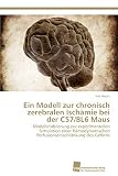 Ein Modell zur chronisch zerebralen Ischämie bei der C57/BL6 Maus: Modelletablierung zur experimentellen Simulation einer hämodynamischen Perfusionseinschränkung des G