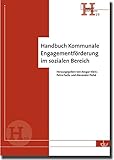 Handbuch Kommunale Engagementförderung im sozialen Bereich: Hand- und Arbeitsbücher (H 19) (Reihe Hand- und Arbeitsbücher, 19)