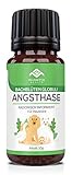 PHARMA HEALTH Angsthase Globuli | für Haustiere | Silvester, Tierarztbesuch, Umzug, Nervosität | 10g