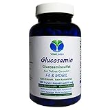 Fit & MOBIL GLUCOSAMIN Glucosaminsulfat - 180 Pulver Kapseln - HOCHWIRKSAM aus Tiefseekrabben - Keine Tabletten - Kein Konzentrat - Nicht hochdosiert - Ohne ZUSATZSTOFFE. 26500-180