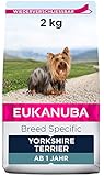 Eukanuba Breed Specific Yorkshire Terrier Trockenfutter - optimal auf die Rasse abgestimmtes Premium Hundefutter mit Huhn, 2 kg