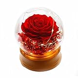 XXCCHH Spieluhr Rose Ewige Blumen Music Box Music Box Glasabdeckung Geschenk Rotating Illuminated Musik BoxBirthday Geschenk Weihnachten Schönes Design (Color : Castle in The Sky)