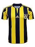 adidas Fenerbahce Trikot klassisch blau gelb (M)