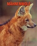 Mähnenwolf: Sagenhafte Fotos & Buch mit lustigem Wissen über Mähnenwolf fü