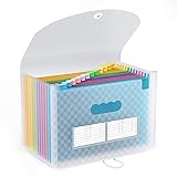ThinkTex Erweitern Dateiordner A4 Akkordeon Brieftasche Ordner mit 12 Taschen Datei Organisator Tragbare Dokumente Halter mit Deckel Multicolor Regenbogen Ordner füR BüRo Geschäft Schule (Blau)