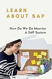Learn About SAP: How Do We Do Monitor A SAP System: Sap Architecture Diagram (English Edition)
