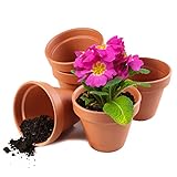 Garden Mania - 12 Mini Terrakotta Blumentöpfe mit Löcher, 8cm - für Pflanzen, Basteln, Dek