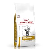 Royal Canin Veterinary Diät Harnspflege S/O mittelgroße Kalorien, komplettes diätetisches Trockenfutter für Katzen mit Urinsäure Eigenschaften, 9 kg