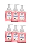 Sagrotan Samt-Schaum Kirschblüte & Rose 6er Pack (6 x 250ml)