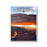 AZSTEEL Canyonlands National Park Poster (Mesa Arch) | WPA Poster | National Park