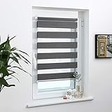 Grandekor Doppelrollo Klemmfix Anthrazit 40x120cm (Stoffbreite 36cm), Duo Rollos für Fenster und Tür ohne Bohren mit Klämmträger, Fensterrollo lichtdurchlässig & verdunk