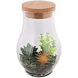 Künstliche Pflanze im Glas Korkverschluss Pflanzen Terrarium, 22cm (Multicolor)