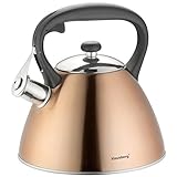 Klausberg Bronze Edelstahl Flötenkessel Teekessel Wasserkessel 3,0 Liter KB-7209