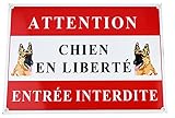 Azatemgo Lot 2 Schild Achtung Au Chien Verbotener Zutritt – 300 x 210 mm in Aluminium + 4 Löcher zur Befestigung