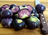 Tomatillo Purple - Physalis ixocarpa - 100 S