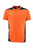 PUMA Herren orange Foundation Tee Team, L