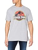 Jurassic Park Herren Distressed Logo T-Shirt, Grau (Grey Marl SPO), M