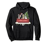 Cute Great Dane Christmas Top, Dog Mom Owner Vintage Truck Pullover H