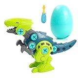 Happara Dinosaurier Montage Spielzeug, Stück Dino Spielzeug mit Schrauben Raubvogel Dinosaurier Ei DIY Gebäude Spielzeug Geschenke für Kinder Jungen Mädchen (Raubvogel)